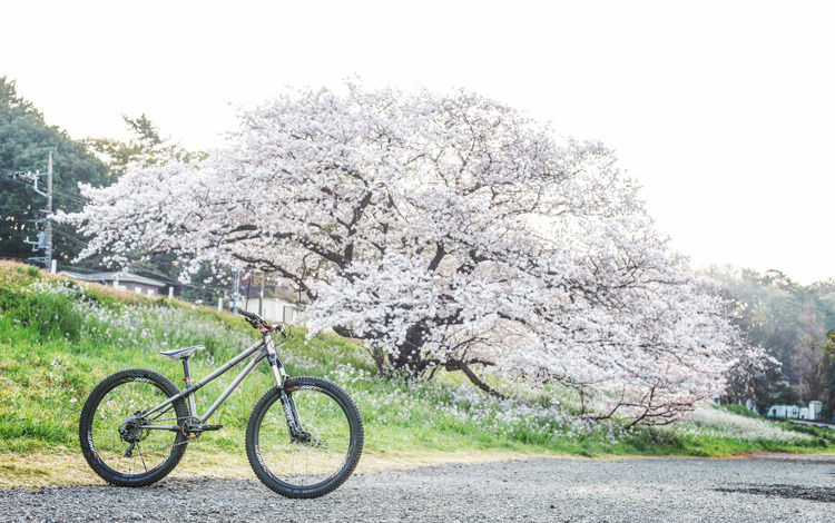 多摩川河原 桜とcroMOZU275
