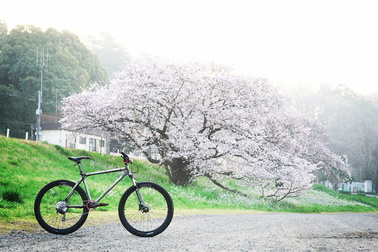 MTB マウンテンバイク YAMADORI 1st 26 多摩川河原サイクリングロード 桜 花見
