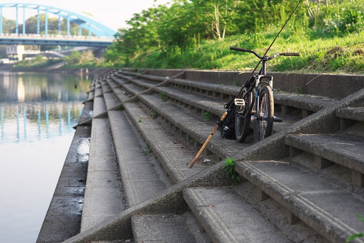 MTB マウンテンバイク SHAKA 多摩川河原サイクリングロード ルアー シーバスフィッシング