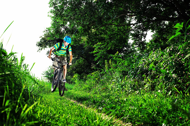 MTB マウンテンバイク YAMADORI 1st 26 多摩川河原サイクリングロード ミミズだらけの川沿いの小道を行く