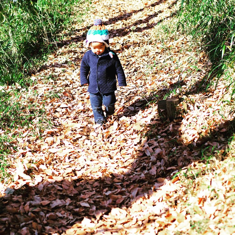 多摩川台公園の落ち葉の上を歩く叶大