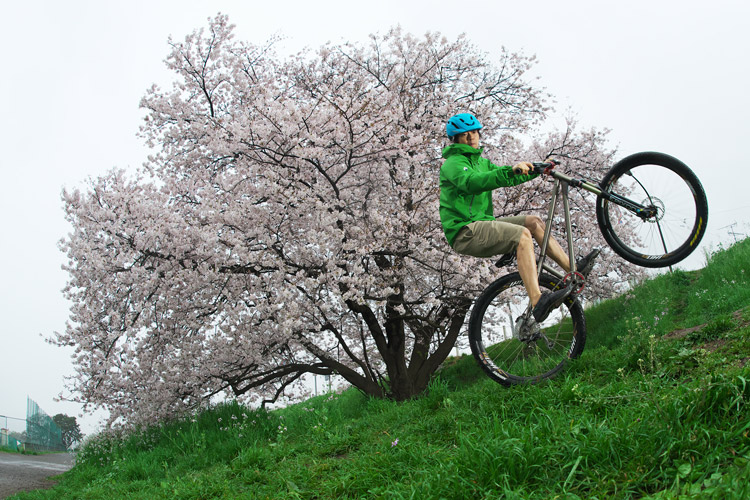 croMOZU275 2nd TEST多摩川河原サイクリングコース 桜の前でテイルタップ
