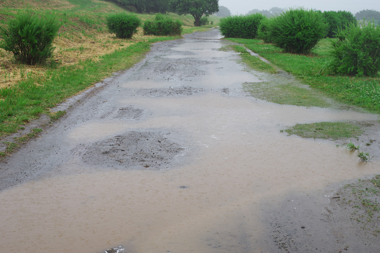 雨の多摩川河原の路面状況　水たまり