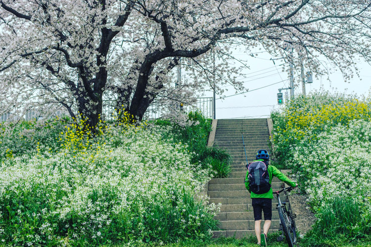 croMOZU275 3rd TEST多摩川河原サイクリングコース 桜の前で撮影