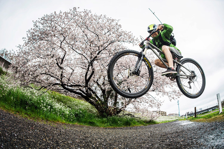 croMOZU275 3rd TEST多摩川河原サイクリングコース 斜め刺しバニーホップ 桜の前で撮影