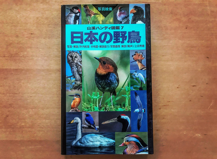 新フレームの名前決め 日本の野鳥 図鑑