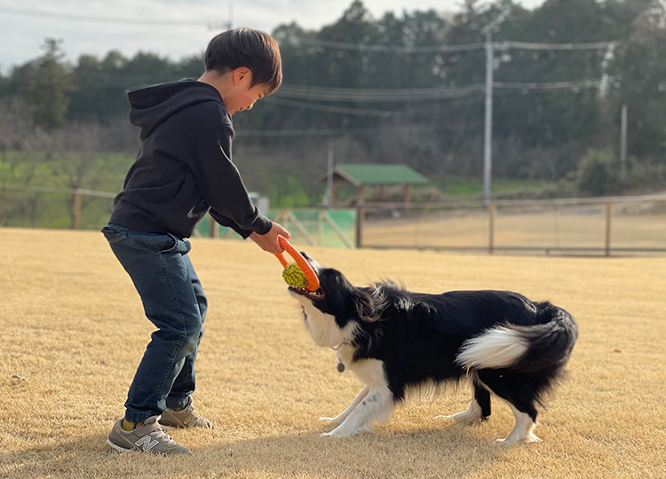 かすみがうらドッグ&MTBパーク 家族キャンプ 犬と遊ぶ叶大