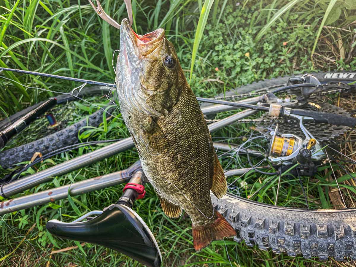 BIKE&FISH ワームで釣れたスモールマウスバス