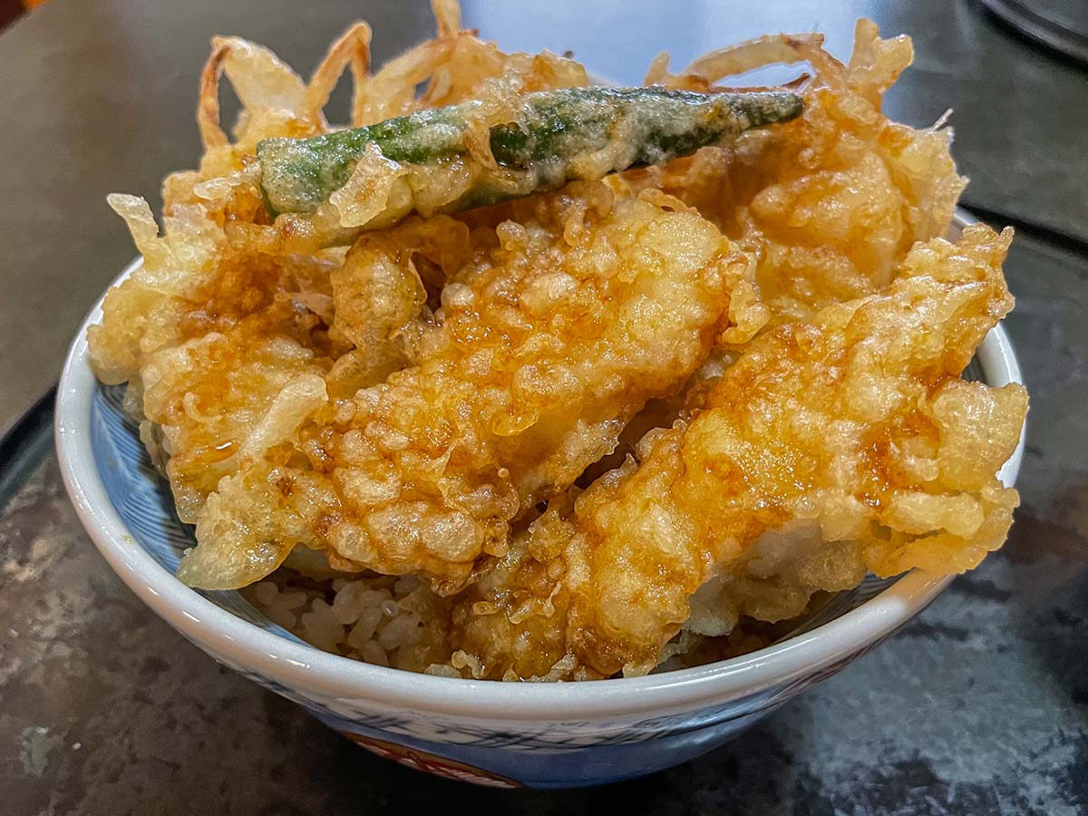 サタジュクアテンドトレイルライド 魚愛 ず丼 ナマズ丼