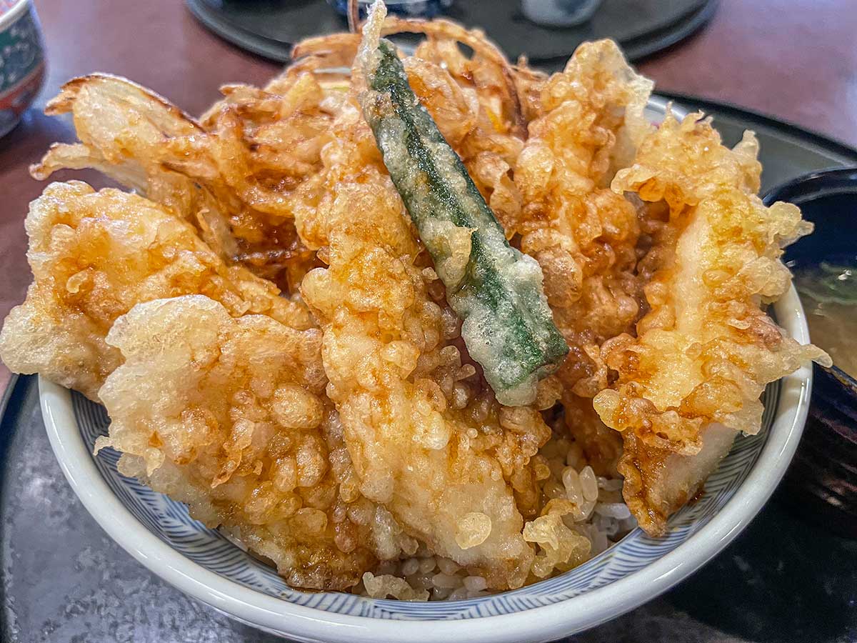 サタジュク トレイル ず丼 ナマズ丼 魚愛