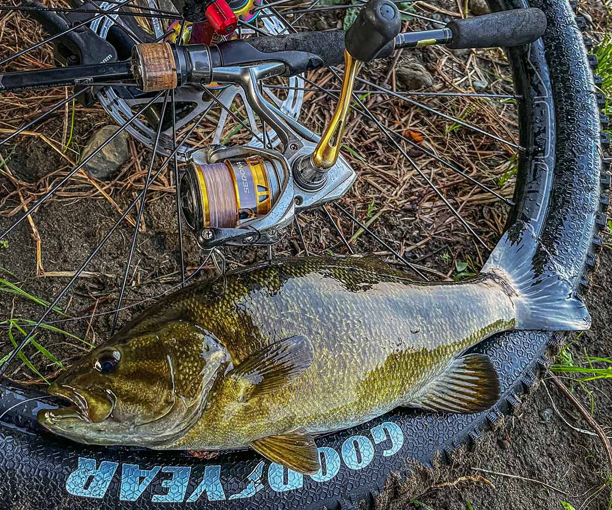 BIKE&FISH ワームで釣れたスモールマウスバス