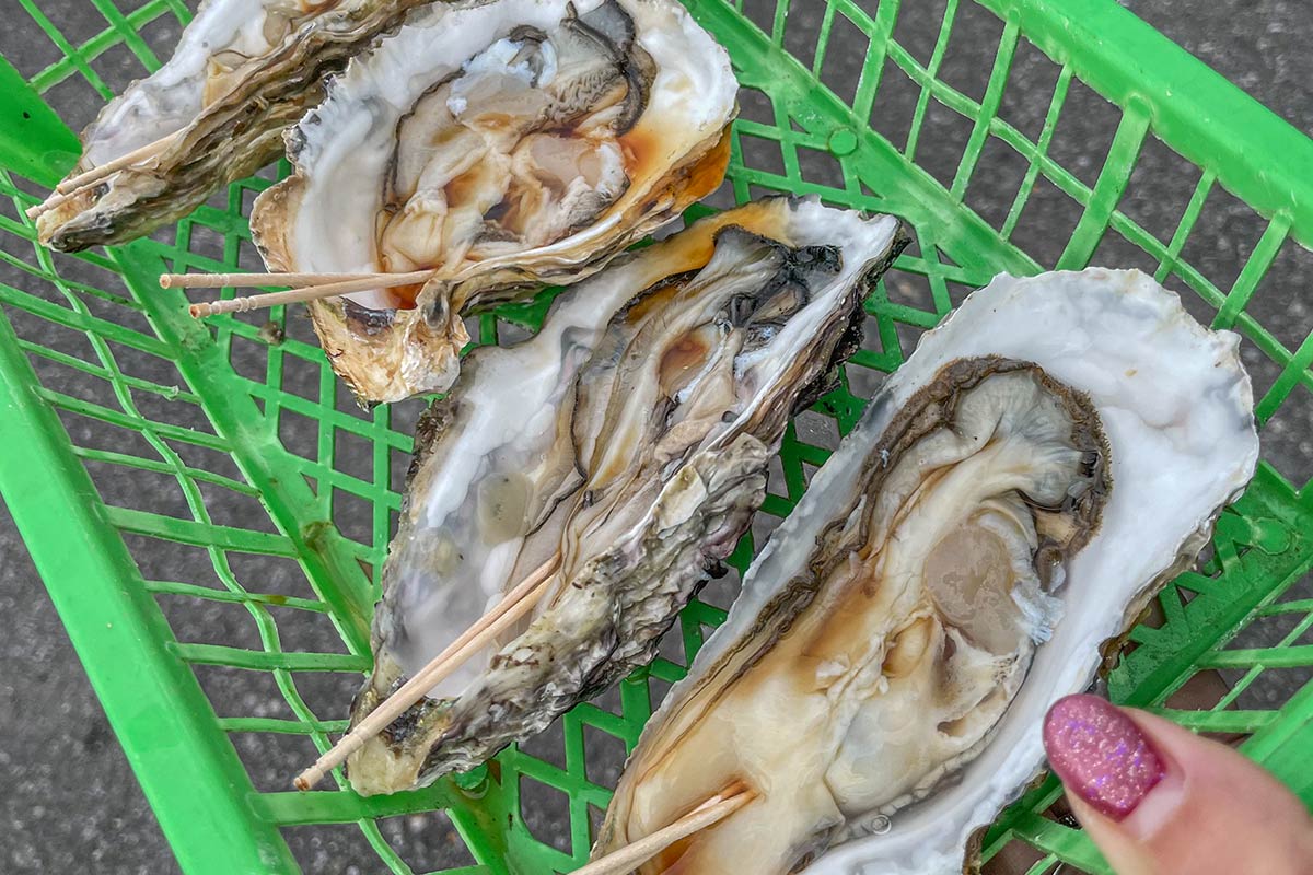 家族キャンプ だいやもんどへっど 大原漁港 生牡蠣