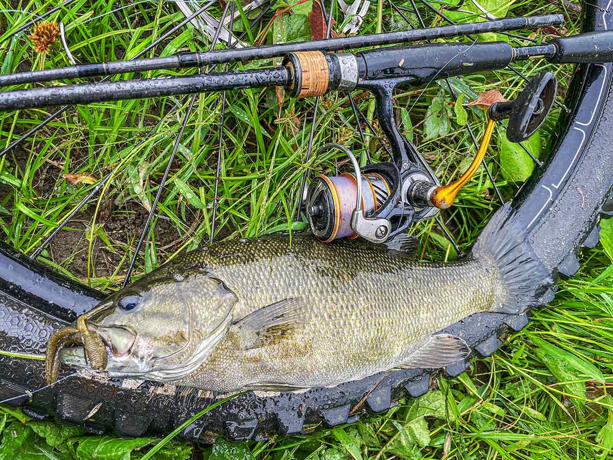 BIKE&FISH ワームで釣れたスモールマウスバス