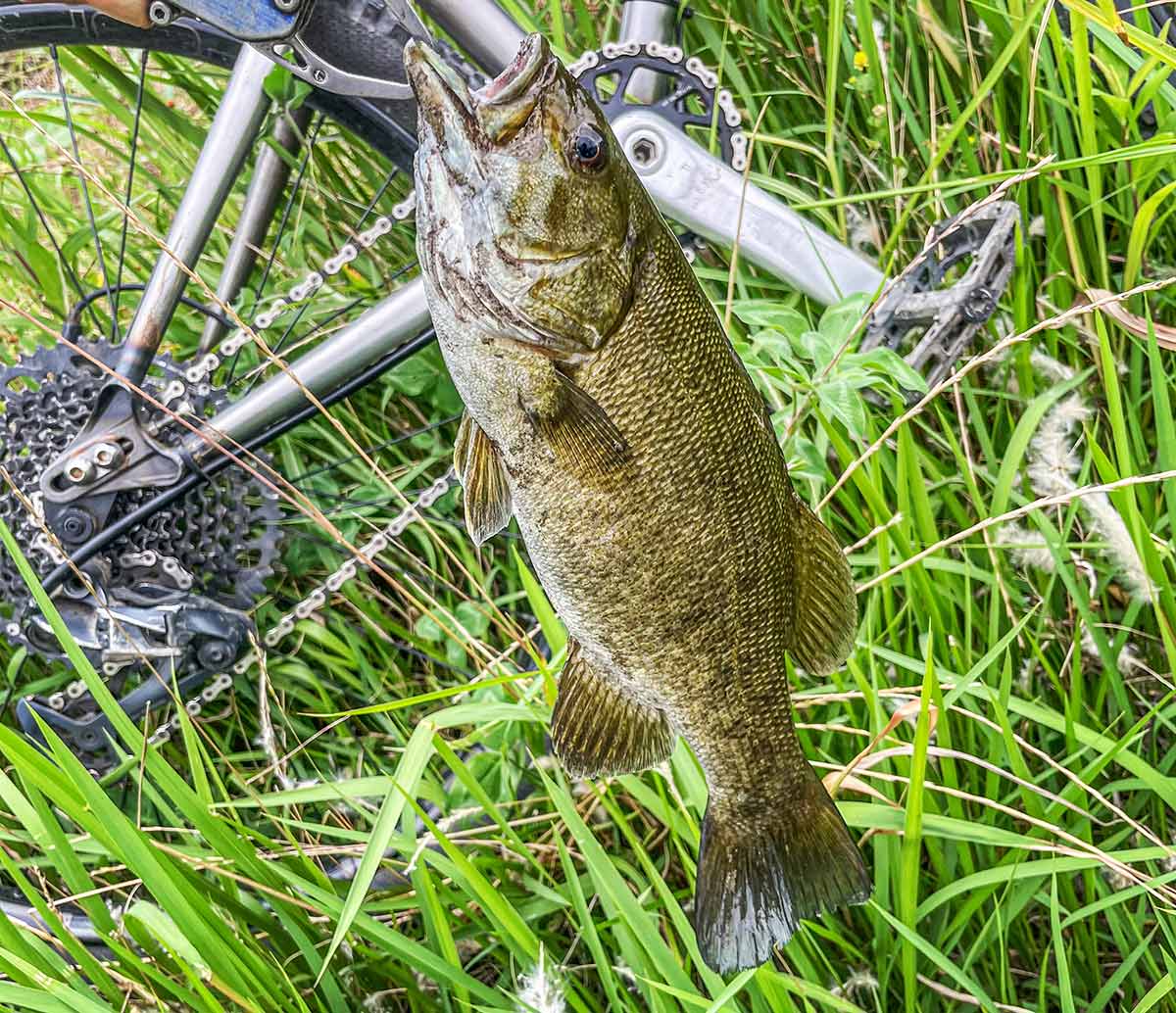 BIKE&FISH ワームで釣れたスモールマウスバス