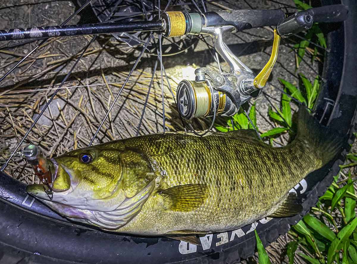 BIKE&FISH エリテンで釣れたスモールマウスバス