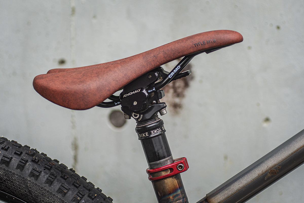 多摩川河原 croMOZU275 TITLE MTB MS1 Saddle