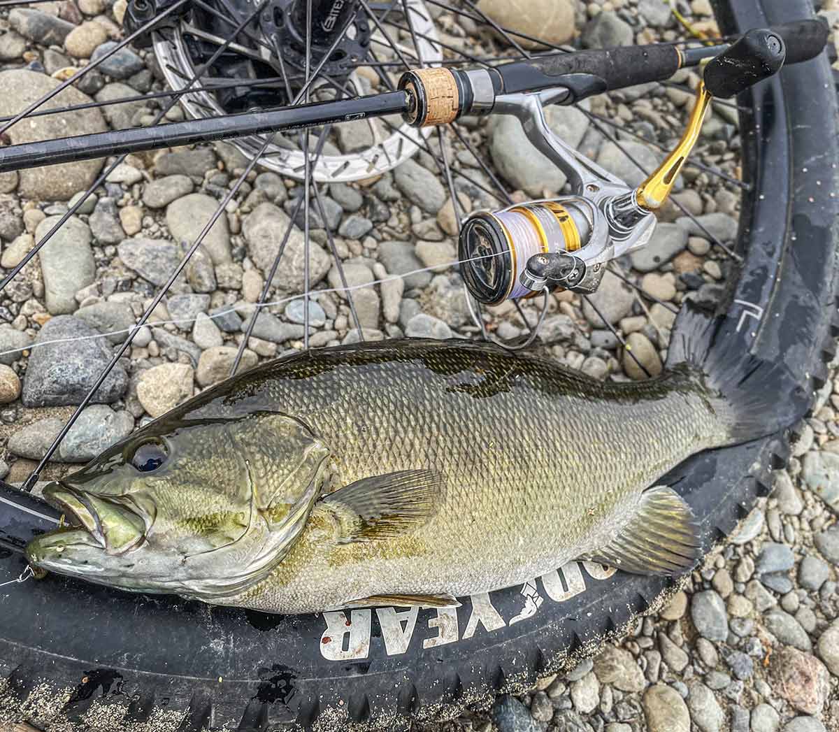 BIKE&FISH ワームで釣れたスモールマウスバス