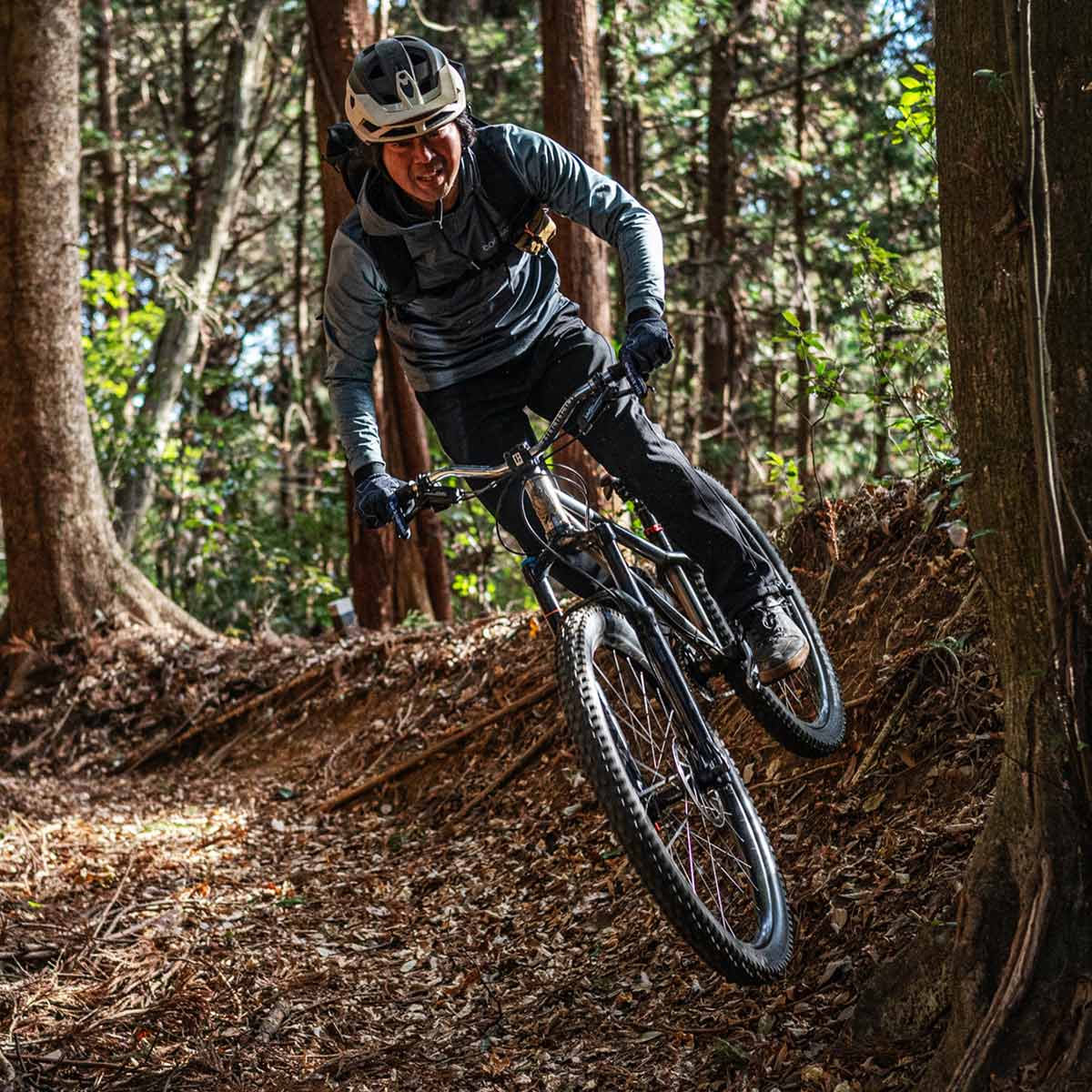 サタジュク croMOZU275 COGNATIVE