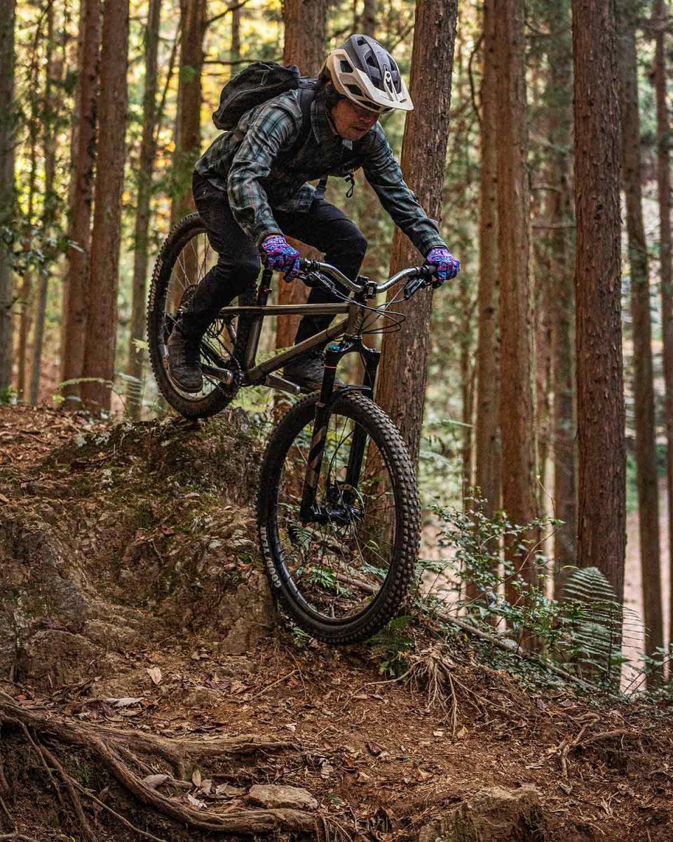 サタジュク croMOZU275 COGNATIVE