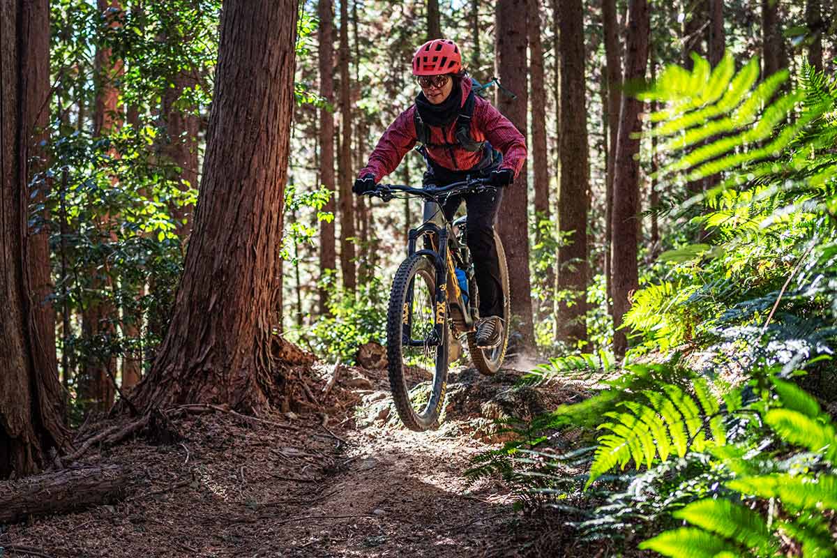 サタジュク トレイル