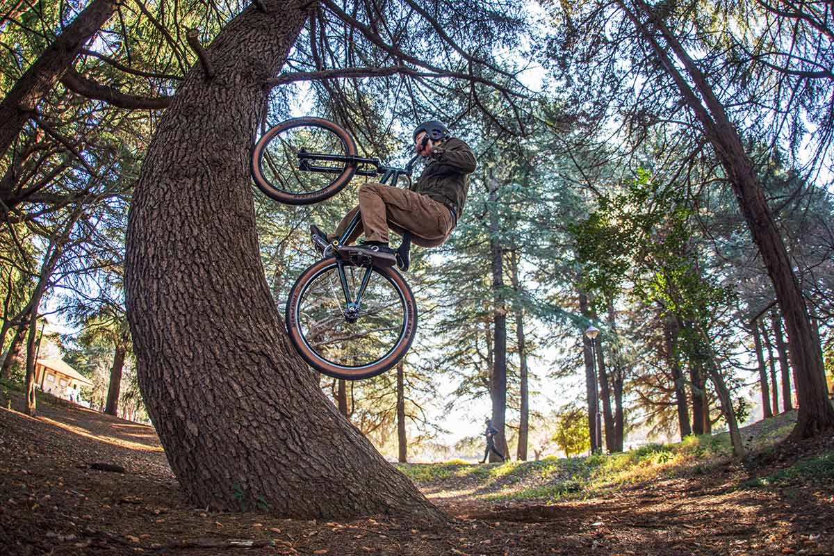 シャラ君 akaMOZU ツリーライド