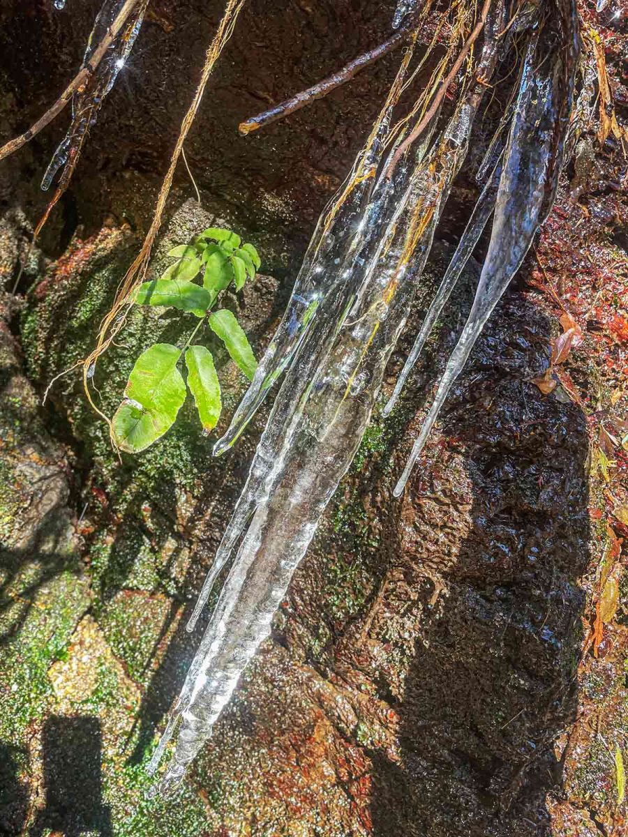 サタジュク トレイル 氷柱 つらら