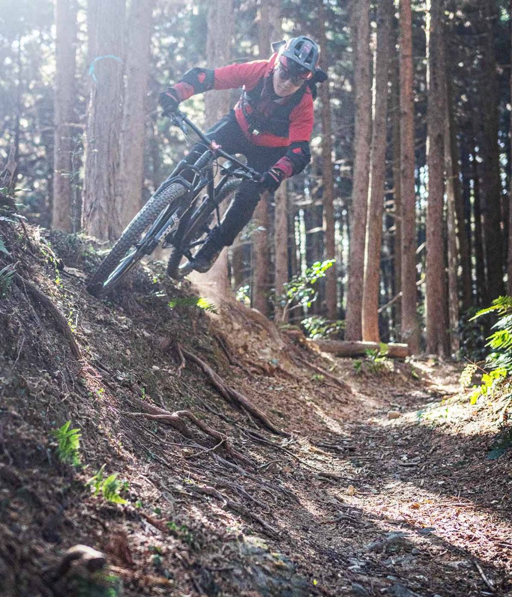 サタジュク トレイル